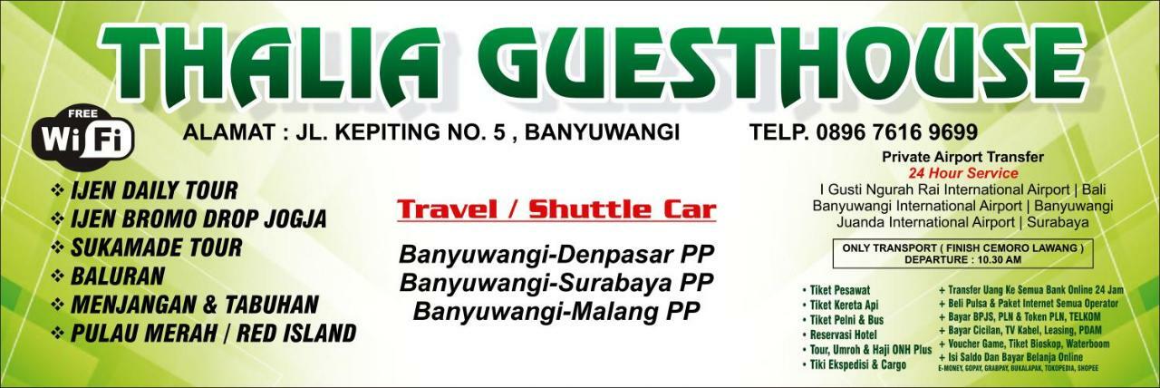 Thalia Guesthouse Ijen - Bromo & Sukamade Tour Banyuwangi  Exterior foto